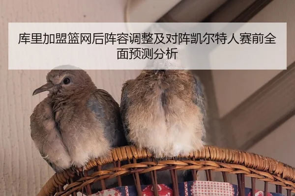 库里加盟篮网后阵容调整及对阵凯尔特人赛前全面预测分析